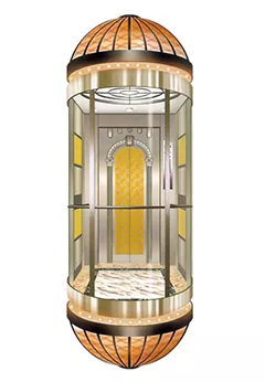 Capsule Elevator Lift Manufacturer