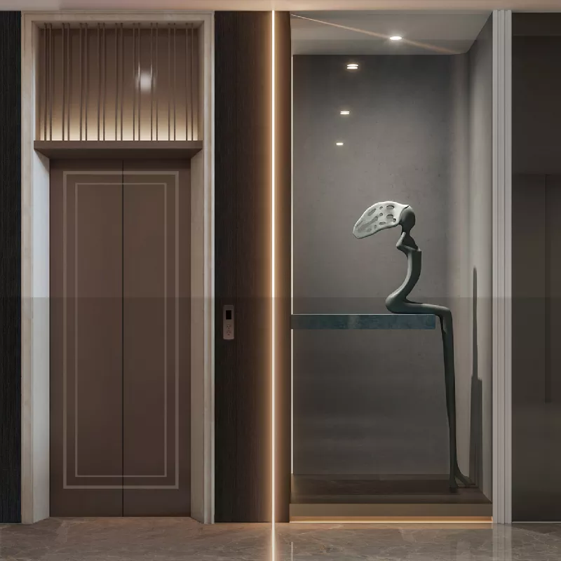 Home lift(1)