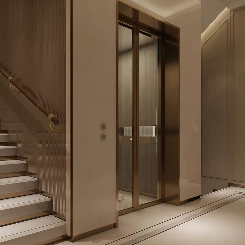 Quiet,Comfortable-Safe Home Lift with Refined Design