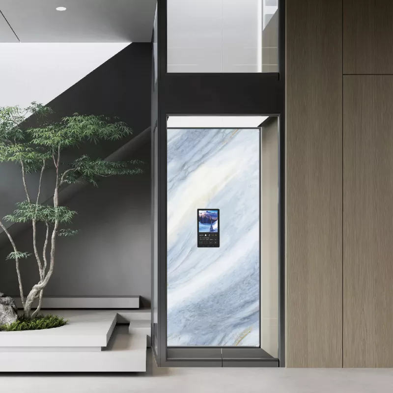 Home lift(4)