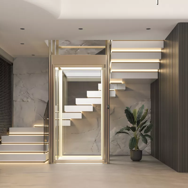 Home lift(2)
