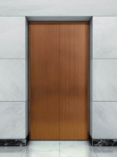 home elevator door	
