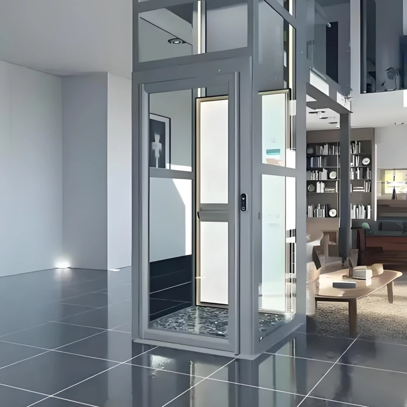 Platform Home Elevator(3)